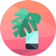 测试